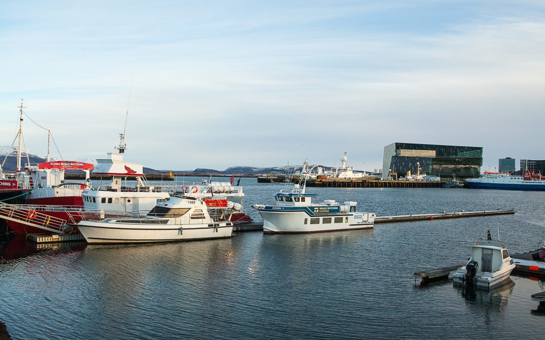 Sjávarútvegsráðstefnan 2016 í Hörpu